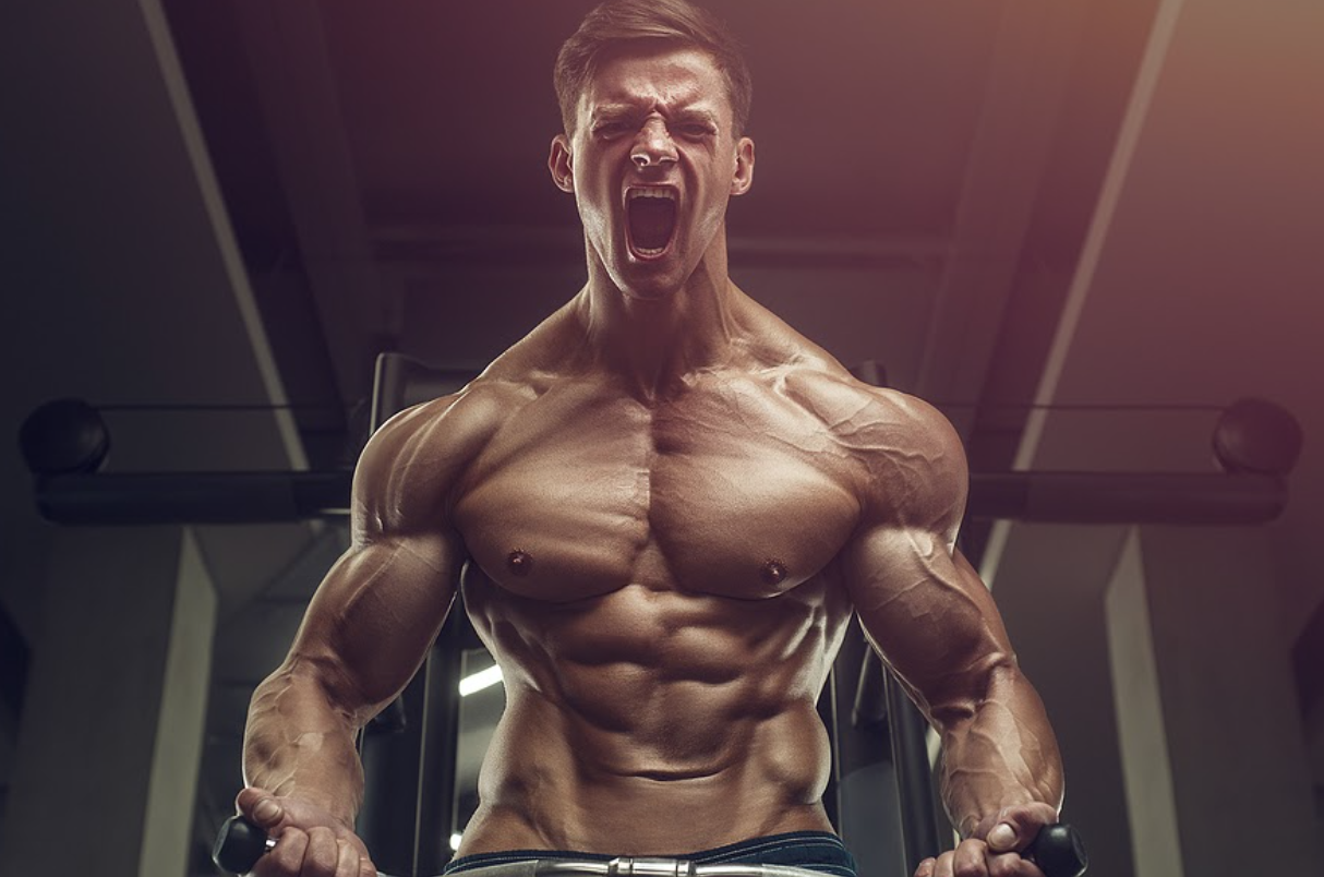 Bodybuilding Nutrients: The Key to Building a Great Body